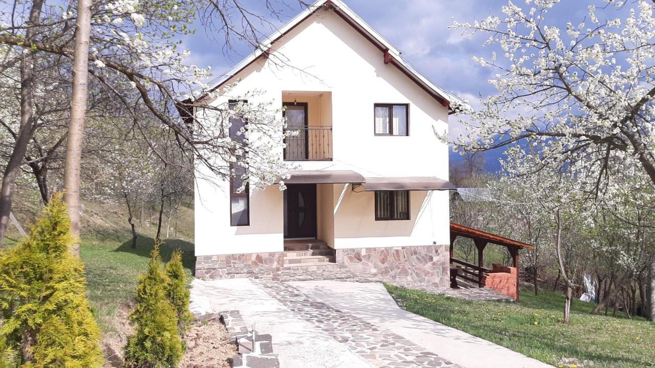 Casa Flutar Villa Moisei Ngoại thất bức ảnh