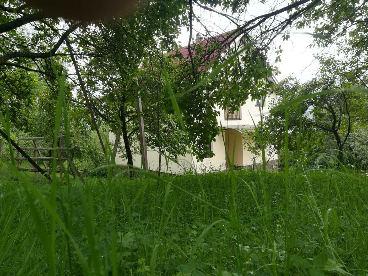 Casa Flutar Villa Moisei Ngoại thất bức ảnh