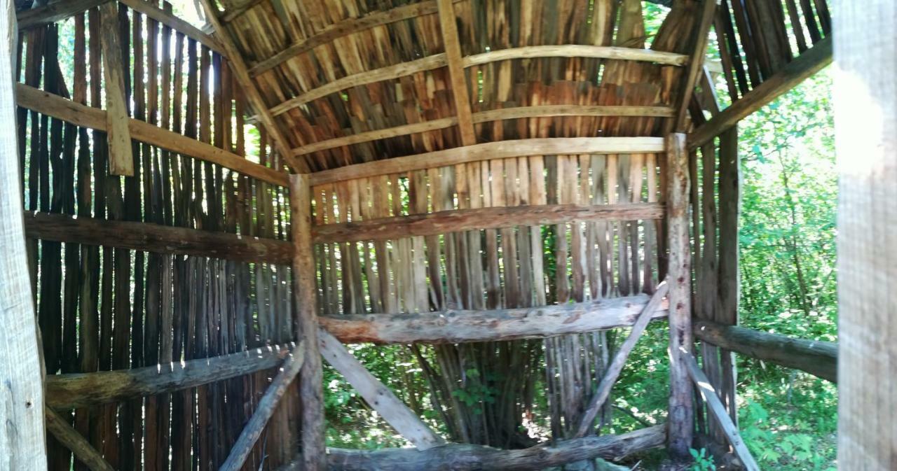 Casa Flutar Villa Moisei Ngoại thất bức ảnh